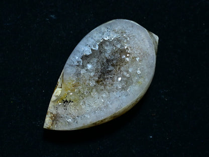 Fossil Druzy Snail Drusy Ancient Unique Fossil