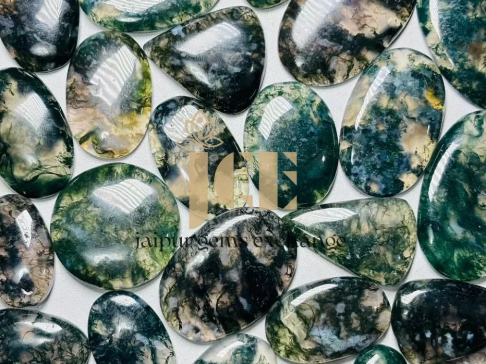 WhatsApp Image 2025-10-30 at 21.52.56_result